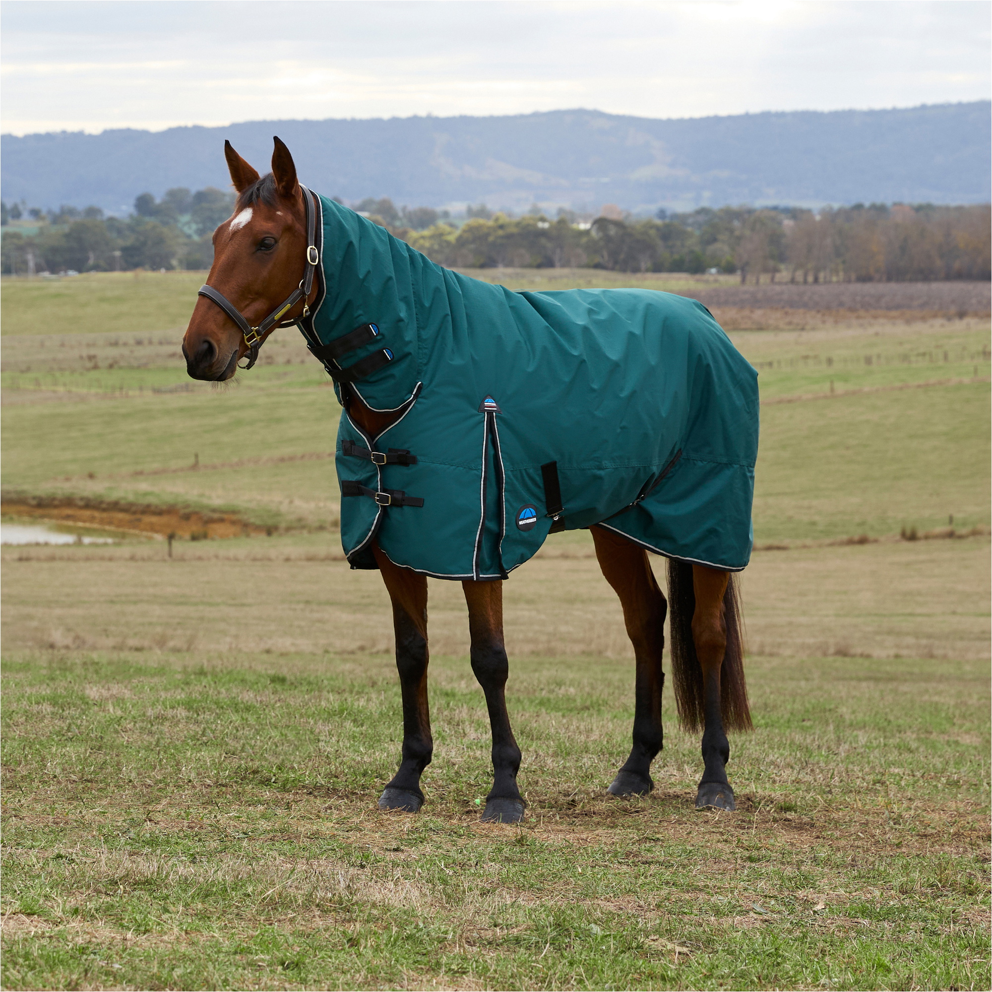 2025 WeatherBeeta Comfitec Classic Turnout Combo 1029069 - Forest Green